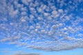 Little altocumulus clouds Royalty Free Stock Photo