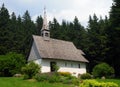 Little Ancient Chapel Martinskapelle In The Forest Near Triberg Black Forest Germany On A Beautiful Sunny Summer Day