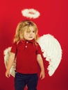 Little angel boy crying with white feather wings and halo Royalty Free Stock Photo