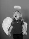 Little angel boy crying with white feather wings and halo Royalty Free Stock Photo