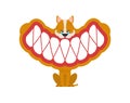 Little angry dog with big teeth. small Pet Teeth grin