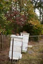 A little apiary in the fall Royalty Free Stock Photo
