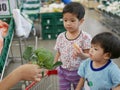 Little Asian babies looking at green fresh broccoli in their mother`s hand Royalty Free Stock Photo