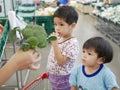 Little Asian babies looking at green fresh broccoli in their mother`s hand Royalty Free Stock Photo