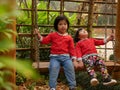 Little Asian baby girls, sisters, enjoy being in a swing together in a garden