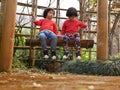 Little Asian baby girls, sisters, enjoy being in a swing together in a garden