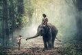 Little asian boy feeding elephant