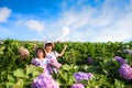 Little asian child girl have fun with a happy smiling face at the morning garden natural flower, Cute girl children kids playing Royalty Free Stock Photo