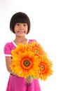 Little asian girl Flower Royalty Free Stock Photo