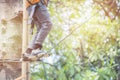 Little asian girl going on the zip line and having fun in adventure Park,sport and outdoor activity concept Royalty Free Stock Photo