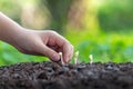 Little asian girl holding young plants in the nature park and see stages of growth of plant and seed for reduce global warming. Royalty Free Stock Photo