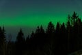 The little aurora borealis over Oslo, the capital of Norway Royalty Free Stock Photo