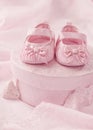 Little baby booties Royalty Free Stock Photo