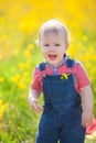 Little baby boy having fun on the meadow with dandelions, in spring. Royalty Free Stock Photo