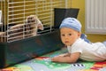 Little baby boy, staying next to rabbit cage