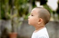 A little baby boy is surprised in the park looking into the distance. Close up. Head shot. Adorable baby boy in the evening