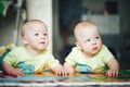 Infant Baby Child Twins Brothers Six Months Old is Playing on the Floor Royalty Free Stock Photo