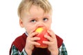 Little baby eating apple Royalty Free Stock Photo