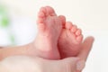 Little baby feet Royalty Free Stock Photo