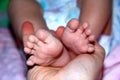 Little baby feet in mother`s reliable hands Royalty Free Stock Photo
