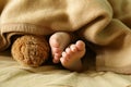 Little baby feet under a warm blanket Royalty Free Stock Photo