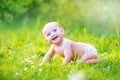 Little baby in garden Royalty Free Stock Photo