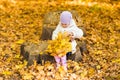 Little baby girl with autumn leaves Royalty Free Stock Photo