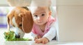 Little baby girl with her dog crawl into tight space under coffee table Royalty Free Stock Photo