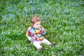 Little baby girl on the lawn between blue flowers Royalty Free Stock Photo