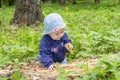 Little baby girl 9 months exploring rotten tree, walking in woods, girl kid digs in sawdust, soft focus child portrait