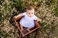 Little baby girl 7 months old sitting among the field grass in a white dress, healthy walk in the fresh air