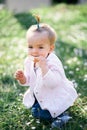 Little baby girl with a ponytail on her head gnaws a fruit chip sitting on her knees on a green lawn among flowers Royalty Free Stock Photo