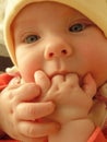 A little baby girl baby sucks her fingers with gusto. Royalty Free Stock Photo