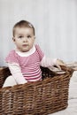 Little baby girl with teddy bear Royalty Free Stock Photo