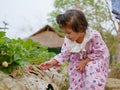 Little baby girl, two years old, enjoys collecting fresh strawberry from the farm - children with fruit picking activity