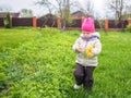 Little baby girl in a warm jacket and a pink hat collects yellow dandelions Royalty Free Stock Photo