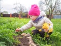 Little baby girl in a warm jacket and a pink hat collects yellow dandelions Royalty Free Stock Photo