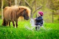 Little baby girl on wooden rocking horse and pony Royalty Free Stock Photo