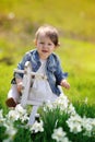 Little baby girl on wooden rocking horse Royalty Free Stock Photo