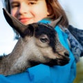 Little goatling in the arms of a teenage girl