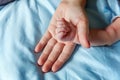 Little baby holding mother`s hand Royalty Free Stock Photo