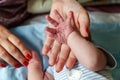 Little baby holding mother`s hand Royalty Free Stock Photo