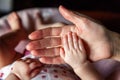 Little baby holding mother`s hand Royalty Free Stock Photo