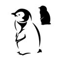 Little baby penguin black and white vector outline