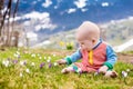 Little baby playing with crocus flowers in the Alps mountains