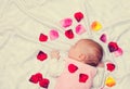 Little baby with rose petals Royalty Free Stock Photo