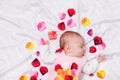 Little baby with rose petals Royalty Free Stock Photo