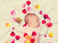 Little baby with rose petals Royalty Free Stock Photo