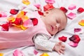 Little baby with rose petals Royalty Free Stock Photo