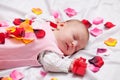 Little baby with rose petals Royalty Free Stock Photo